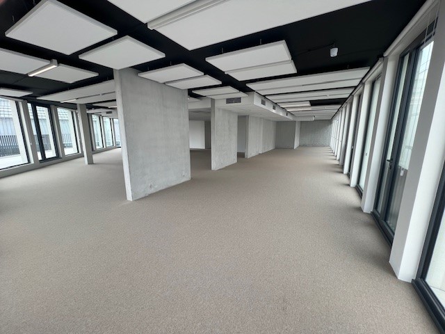 Open space avec moquette tendue